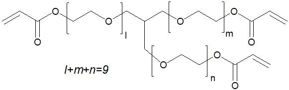 NK ESTER A-GLY-9E