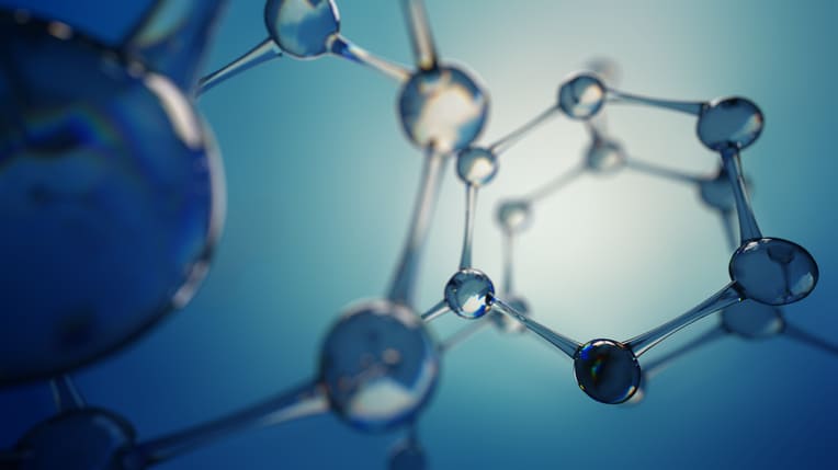 Multifunctional Monomers